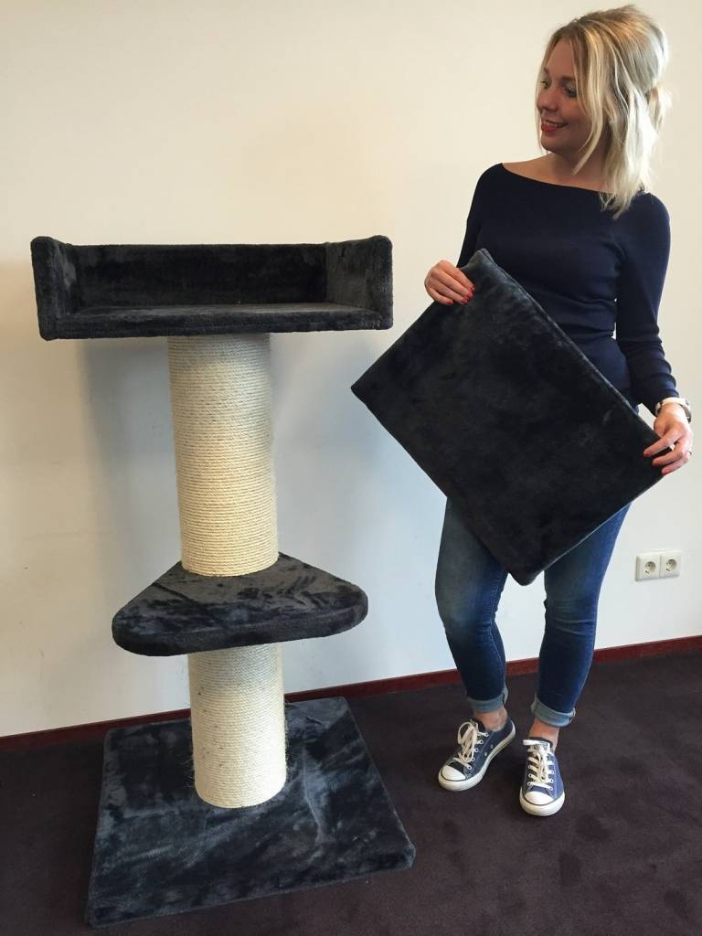 arbre a chat maine coon lounge